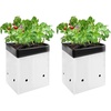 3 Gallon (Pack of 2)