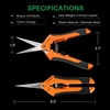 image:imageVIVOSUN 2Pack Indoor Hydroponics LED Grow Room Glasses and 65 Inch Gardening Scissors Hand Pruner Pruning Shear with Straight Stainless Steel Blades Orange 1Pack
