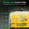 image:imageVIVOSUN VS2000 LED Grow Light and Indoor Hydroponics Anti UVA and UVB Grow Room Glasses Goggles with Glasses Case Blue