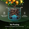 image:imageVIVOSUN 5Pack 10 Gallon Plant Grow Bags Heavy Duty Thickened Nonwoven Fabric Pots with HandlesTan