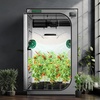 image:imageVIVOSUN S538 5x2 Grow Tent 60x32x80 High Reflective Mylar Growing Tents 2x5 with Observation Window and Floor Tray for Hydroponics Indoor Plant for VS2000VSF4300Gray