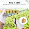 image:imageVIVOSUN 1 Inch Rockwool Cubes 100 Plugs Grow Cubes for Hydroponics Cuttings Cloning Plant Propagation Seed Startling1200 Plugs