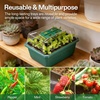 image:imageVIVOSUN 12Pack Seed Starter Trays 144Cell Seed Starter Kit with Humidity Dome Flat Reusable Plant Germination Trays with Drain Hole Green Propagation Tray for Planting Seeds24Pack 144Cell