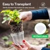 image:imageVIVOSUN 40 Packs 3456 Inch Clear Nursery Pots with Drainage Holes Reinforced Plastic Seedling Pots for Plants Flowers Cuttings and Succulents 40 pcs Plant Labels3456 Inch Pack of 2