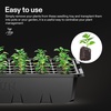 image:imageVIVOSUN 6Pack Seed Starter Trays 240Cell Seed Starter Kit with 2 Set of LED Lights 36 Higher Cover Adjustable Vents Drainage Holes Green Propagation Tray for Planting Seed 40 Cells x 6 Packs6Pack 240Cell