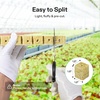 image:imageVIVOSUN 72 Rockwool Cubes amp Net Pots Set for Hydroponics 12 x 12 x 16 Cubes 72 Plugs amp 72 2 Net Cups for Hydroponic Growing SeedStarting Cloning Tower Gardens172 Plugs72 Net Pots Pack of 2