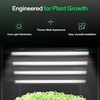image:imageVIVOSUN Clone Tent Kit 24 x 16 x 20 with T5 FullSpectrum Grow Light Seed Starter Tray Heat Mat AeroStream U075 Humidifier and AeroWave D4 Clip Fan for Indoor Plant Germination Cloning24 x 16 x 20