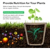 image:imageVIVOSUN Peat Pots 120 Packs 315Inch Seed Starting Pots with Drainage Holes Round Nursery Pot 20 Plant Labels for Flowers Plants Vegetables 120Pcs120 Pack of 2