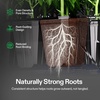 image:imageVIVOSUN Seed Rooter Plant Starter Plugs Support Robust Roots for Seedlings and Cuttings 40 Cubes Designed for VSeed Smart Box amp Seed Starter Trays