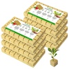image:imageVIVOSUN 16 Inch Rockwool Cubes Grow Cubes for Hydroponics Cuttings Cloning Plant Propagation Seed Startling 8 Sheets 224 Plugs16224 Plugs