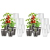 3/4/5/6 Inch (Pack of 2)