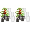 image:imageVIVOSUN 40 Packs 3456 Inch Clear Nursery Pots with Drainage Holes Reinforced Plastic Seedling Pots for Plants Flowers Cuttings and Succulents 40 pcs Plant Labels456 Inch Pack of 2