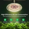 image:imageVIVOSUN Outdoor LED Grow Lights Waterproof String Grow Light Full Spectrum Plant Growing Lights with 22Ft Adjustable Cord for Seedling Veg Flower in Greenhouse Garden Backyard Farm 6Light12 Lights