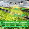 image:imageVIVOSUN Outdoor LED Grow Lights Waterproof String Grow Light Full Spectrum Plant Growing Lights with 22Ft Adjustable Cord for Seedling Veg Flower in Greenhouse Garden Backyard Farm 6Light6 Lights