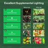 image:imageVIVOSUN Outdoor LED Grow Lights Waterproof String Grow Light Full Spectrum Plant Growing Lights with 22Ft Adjustable Cord for Seedling Veg Flower in Greenhouse Garden Backyard Farm 6Light12 Lights