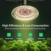 image:imageVIVOSUN Outdoor LED Grow Lights Waterproof String Grow Light Full Spectrum Plant Growing Lights with 22Ft Adjustable Cord for Seedling Veg Flower in Greenhouse Garden Backyard Farm 6Light6 Lights