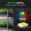 image:imageVIVOSUN T5 Grow Lights for Indoor Plants 5000K Full Spectrum 24W4 X 6W 1FT LED Plant Light Strip for Seed Starting Greenhouse Hydroponics SGS Compatible Linkable 4PackBlack