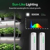 image:imageVIVOSUN T5 Grow Lights for Indoor Plants 5000K Full Spectrum 24W4 X 6W 1FT LED Plant Light Strip for Seed Starting Greenhouse Hydroponics SGS Compatible Linkable 4PackWhite