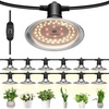 image:imageVIVOSUN Outdoor LED Grow Lights Waterproof String Grow Light Full Spectrum Plant Growing Lights with 22Ft Adjustable Cord for Seedling Veg Flower in Greenhouse Garden Backyard Farm 6Light12 Lights