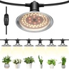 image:imageVIVOSUN Outdoor LED Grow Lights Waterproof String Grow Light Full Spectrum Plant Growing Lights with 22Ft Adjustable Cord for Seedling Veg Flower in Greenhouse Garden Backyard Farm 6Light6 Lights