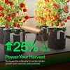 image:imageVIVOSUN LumaRay Under Canopy Grow Light Full Spectrum Dimmable LED Grow Lights for Grow Tents Greenhouses SGS Compatible 100W 328 ft 2 Pack1 Pack
