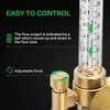 image:imageVIVOSUN Hydroponics CO2 Regulator Emitter System with Solenoid Valve Flowmeter for Grow Room Grow Tent GardenArgon