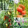 image:imageVIVOSUN 12 PCS Retractable Plant Yoyo with Stopper for Grow Support in Tent Garden or Hydroponics WhiteWhite