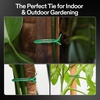 image:imageVIVOSUN Twist Ties 164 ft 50m PECoated Green Plant Ties with Cutter Reusable amp Flexible Tomate Ties for Plant Support Indoor Outdoor Gardening Cable Management Home Office Organization164 Feet