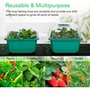 image:imageVIVOSUN 2 Pack Durable Waterproof Seedling Heat Mat Warm Hydroponic Heating Pad and 12Pack Seed Starter Trays 144Cell Seed Starter Kit with Humidity Dome for Germination Indoor Gardening