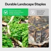 image:imageVIVOSUN 3 Depth Ground Grid and 6 Inch 100Pack Landscape Staples Galvanized Steel Garden Stakes 11 Gauge UShaped Pins for Weed Barrier Fabric Soaker Hose Holding Fence