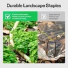 image:imageVIVOSUN 4ftx100ft 5oz DoubleLayered Weed Control Mat with High Permeability and 6 Inch 50Pack Garden Stakes Galvanized Steel Landscape Stapes 11 Gauge UShaped Pins for Weed Barrier Fabric Ground
