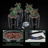 image:imageVIVOSUN DWC Hydroponics Grow System with Top Drip Kit and Professional Automatic Drip Irrigation Kits 15W Output All in One Professional Grow Kit Includes Pump Timer and Regulator 8 Pots Garden P