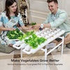 image:imageVIVOSUN Hydroponic Grow Kit and 16 Rockwool Cubes 112 Plugs Stonewool Starter Grow Cubes for Cuttings Cloning Plant Propagation Seed Starting
