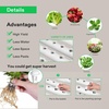 image:imageVIVOSUN Hydroponic Grow Kit and 16 Rockwool Cubes 112 Plugs Stonewool Starter Grow Cubes for Cuttings Cloning Plant Propagation Seed Starting