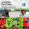 image:imageVIVOSUN SelfWatering Planters 4Pack 105 Inch Compact Rectangular Window Herb Planter Box with 10 PCS Plant Labels Plant Container for Basil Flowers Succulents Indoor amp Outdoor4