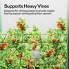 image:imageVIVOSUN 2 x 4Ft Elastic Trellis Netting with 4 Hooks for Climbing Plants Vegetables Fruits and Flowers 1Pack2x4ft stretched size3mm d