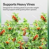 image:imageVIVOSUN 2 x 4Ft Elastic Trellis Netting with 4 Hooks for Climbing Plants Vegetables Fruits and Flowers 1Pack5x5ft stretched size3mm d Pack of 2