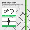 image:imageVIVOSUN 2 x 4Ft Elastic Trellis Netting with 4 Hooks for Climbing Plants Vegetables Fruits and Flowers 1Pack5x5ft stretched size3mm d Pack of 2