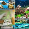 image:imageVIVOSUN Air Stone 2PCS 4 x 2 Inch Large Air Stone for Aquarium Fish Tank and Hydroponics Air Pump2PCS 4 x 2 Inch Pack of 2