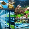 image:imageVIVOSUN Air Stone Disc 4 x 4 Inch with Shell and Sucker for Aquarium Fish Tank and Hydroponics Air Pump4 inch