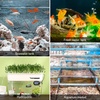 image:imageVIVOSUN Submersible Aquarium Heater with Thermometer Combination 300W Titanium Fish Tank Heaters with Intelligent LED Temperature Display and External Temperature Controller