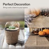 image:imageVIVOSUN 40 in x 30 ft Burlap Fabric High Density Natural Jute Fiber Multipurpose Burlap for Gardening Outdoor Plant Care Weed Barrier DIY Crafts and Decoration40 Inch X 13 Feet Pack of 2