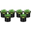 5 Gallons (Pack of 2)