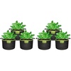 7 Gallons (Pack of 2)