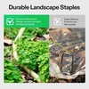 image:imageVIVOSUN 4ftx50ft 5oz DoubleLayered Weed Control Mat and 6 Inch 25Pack Landscape Staples Galvanized Steel Garden Stakes 11 Gauge UShaped Pins for Weed Barrier Fabric Soaker Hose Holding Fence