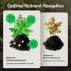 image:imageVIVOSUN Digital pH Meter and pH Up amp pH Down Kit 1 Quart Each pH Control Kit for Balanced pH Level and Optimal Nutrient Uptake pH Adjuster Liquid Fertilizer for All Plants and All Growing Systems