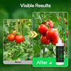 image:imageVIVOSUN NutriBoost 001 and Bloom Juice 064 Flowering Supplement Liquid Fertilizer for Flowering Stage Concentrated Plant Food for All Flowering Plants 8 Ounces