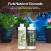 image:imageVIVOSUN Plant Food Nutrients Base A401 amp B142 Bundle and Bloom Juice 064 Flowering Supplement Liquid Fertilizer for Flowering Stage Concentrated Plant Food for All Flowering Plants