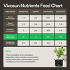 image:imageVIVOSUN Plant Food Nutrients Base A401 amp B142 Bundle and Bloom Juice 064 Flowering Supplement Liquid Fertilizer for Flowering Stage Concentrated Plant Food for All Flowering Plants