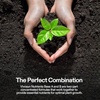 image:imageVIVOSUN Plant Food Nutrients Base A401 amp B142 Bundle and CalMagIron 200 Calcium Magnesium amp Iron Supplement Liquid Nutrient Fertilizer for All Plants Concentrated Plant Food for Soil